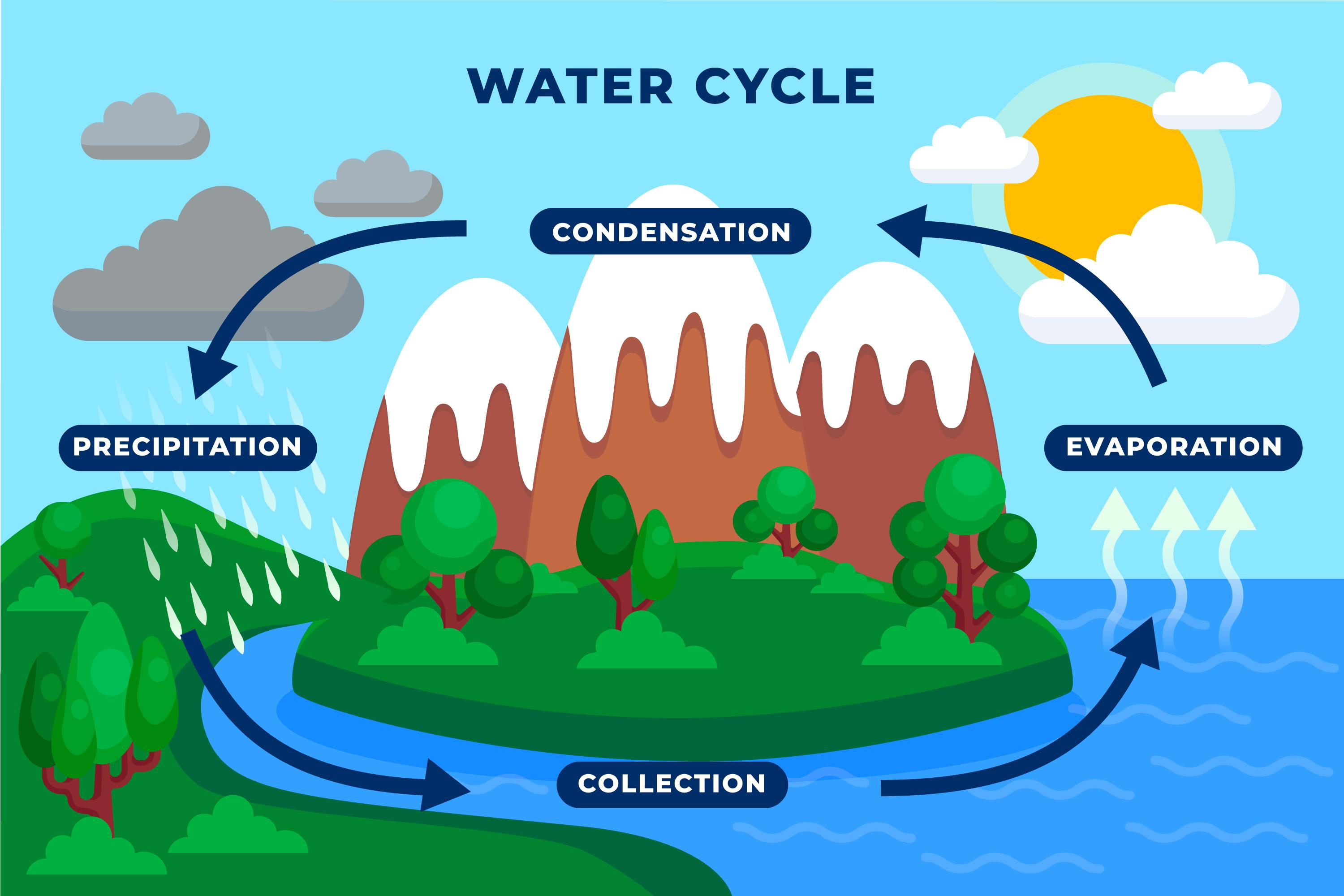Water Cycle Diagram